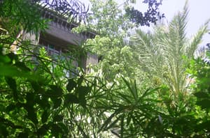 thumbnail: Garden