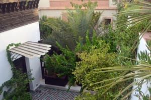 thumbnail: Garden
