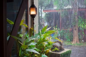 thumbnail: View from property