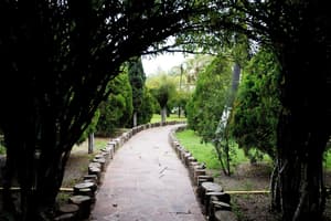 thumbnail: Property grounds