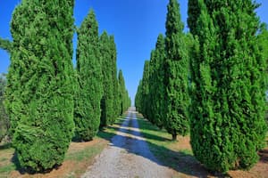 thumbnail: Property grounds