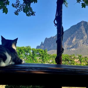 thumbnail: Surroundings