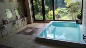 thumbnail: Natural pool