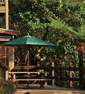 thumbnail: Terrace/patio