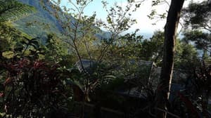 thumbnail: Garden