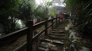 thumbnail: Property grounds