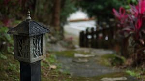 thumbnail: Property grounds