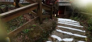 thumbnail: Property grounds