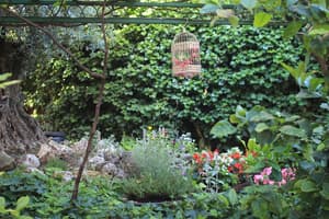 thumbnail: Property amenity