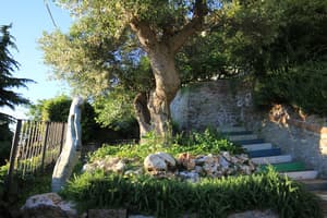 thumbnail: Garden