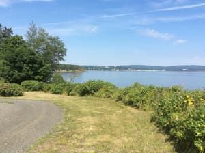 thumbnail: View from property
