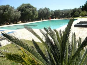thumbnail: General view