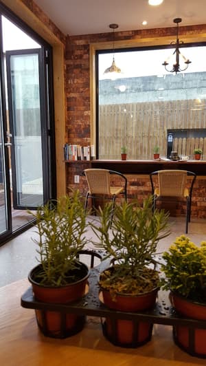 thumbnail: Terrace/patio