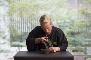 thumbnail: Dining