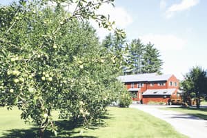 thumbnail: Exterior