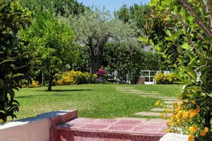 thumbnail: Garden