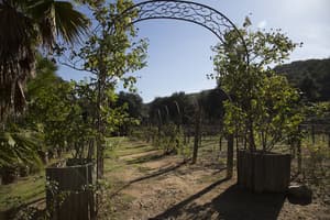 thumbnail: Garden