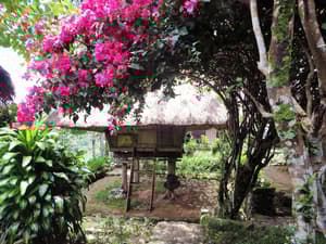 Banaue thumbnail