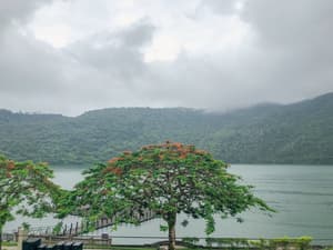 thumbnail: Aerial view