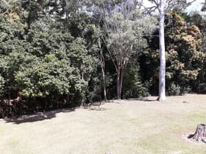 thumbnail: General view