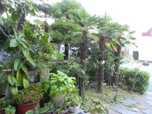 thumbnail: Property grounds