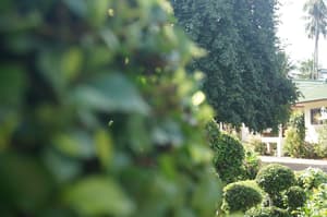 thumbnail: View from property