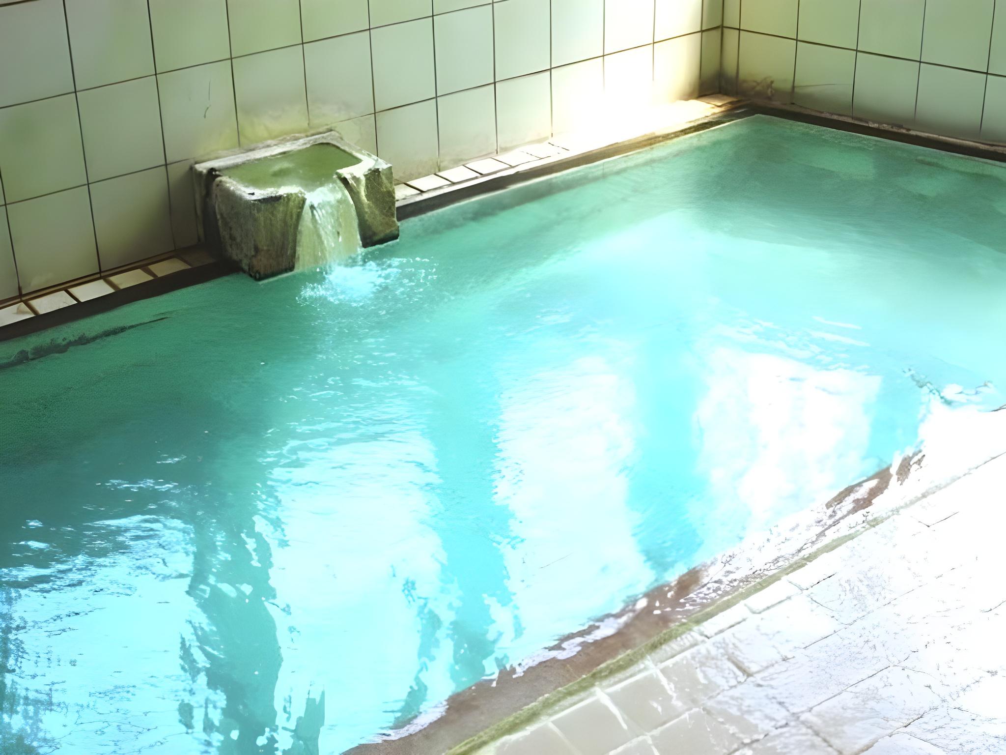 Swimming pool-spa