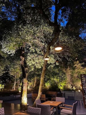 thumbnail: Outdoor dining