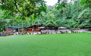 thumbnail: Garden