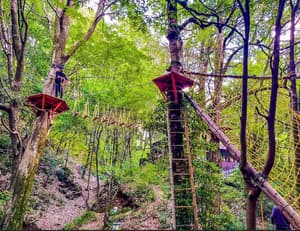 thumbnail: Children's play area - outdoor