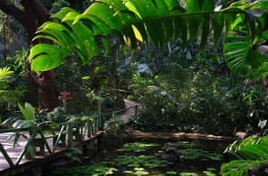 thumbnail: Garden
