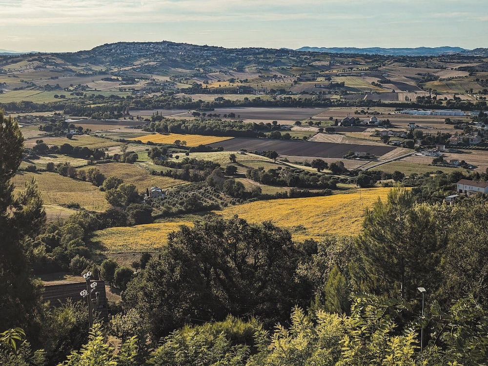 Hill view