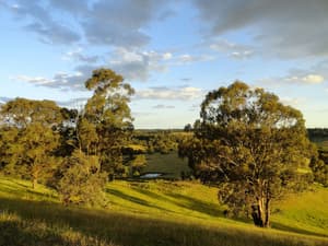 thumbnail: View from property