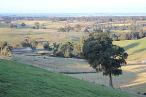 thumbnail: View from property