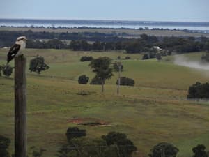 thumbnail: View from property