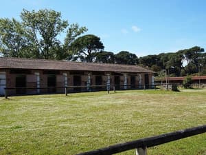 thumbnail: Property grounds