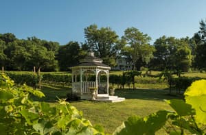 thumbnail: Outdoor wedding area