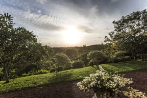 thumbnail: View from property