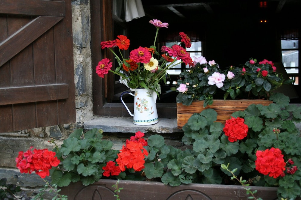 Restaurant-cafeteria