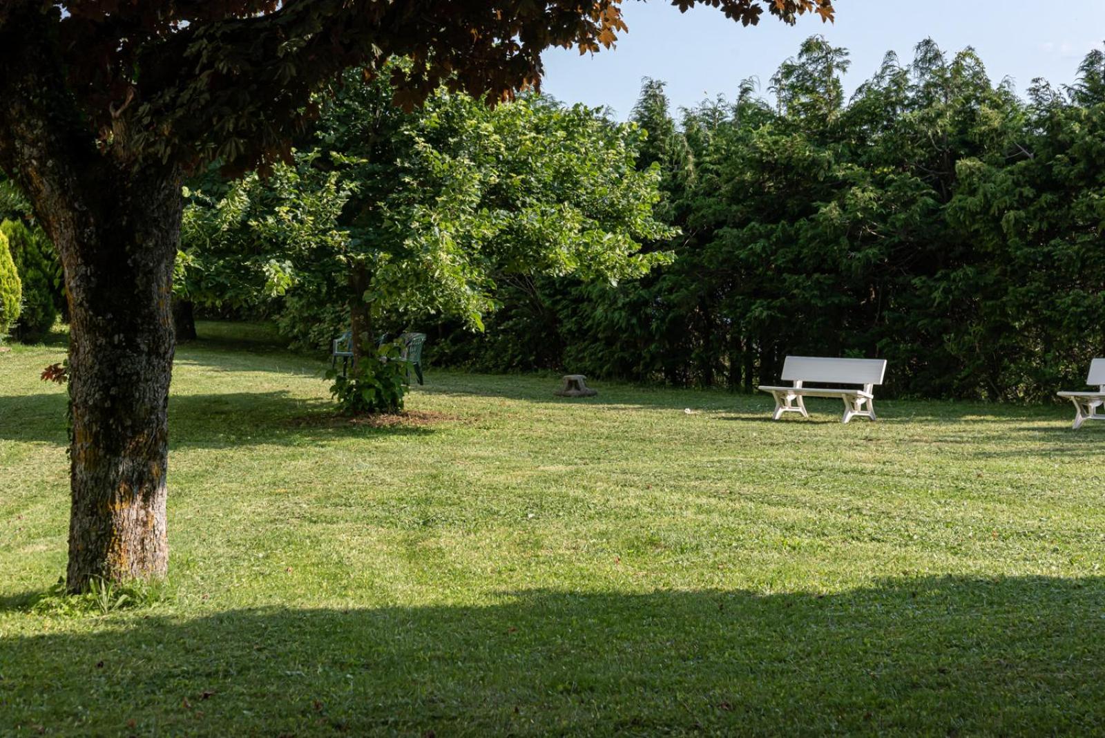 Play area