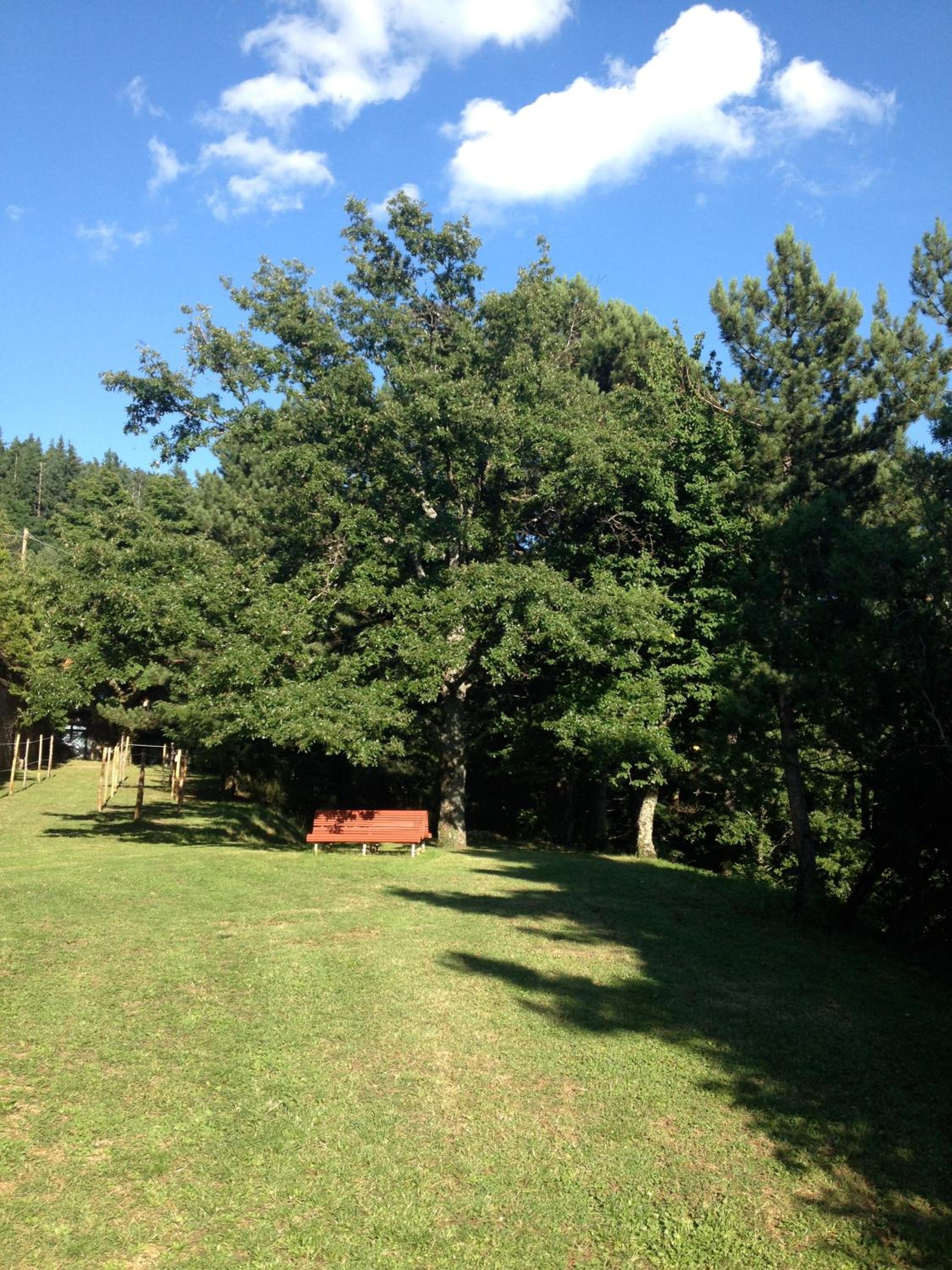 Play area
