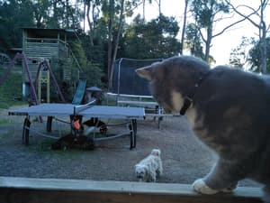 thumbnail: Property grounds