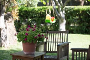 thumbnail: Garden