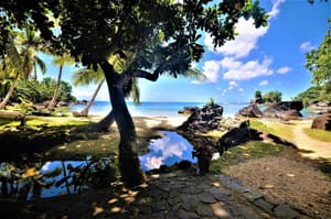 thumbnail: Beach
