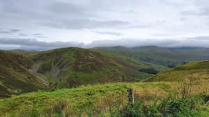 thumbnail: General view