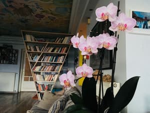 thumbnail: Interior