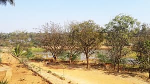 thumbnail: View from property