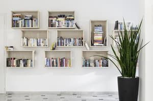 thumbnail: Library