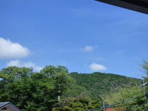 thumbnail: 75571437.jpg