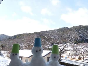 thumbnail: 113469408.jpg